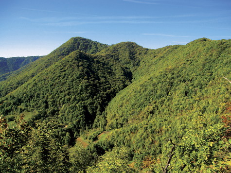 TESLIĆI successfully conquered the Oštrc peak in the Samobor hills       